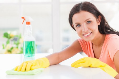 Curtain cleaning in White City for fresh, dust-free window fabrics