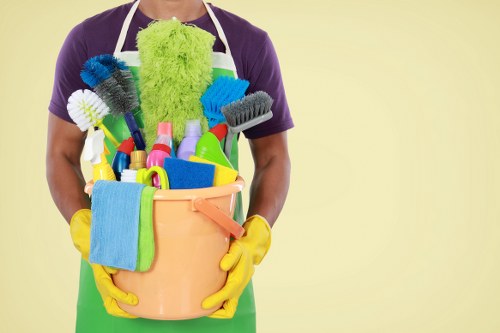 Illustration of accessible White City Carpet Cleaners website on a digital screen