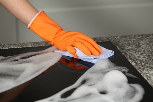 Professional rug cleaning service in White City home setting
