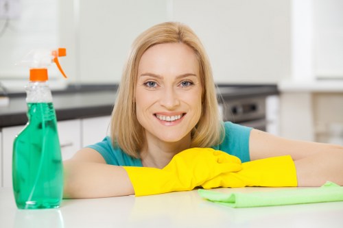 Support request concept for users needing accessibility help on White City Carpet Cleaners site