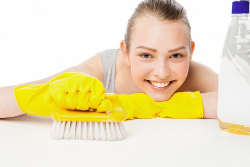 Steam cleaning process for a mattress in White City
