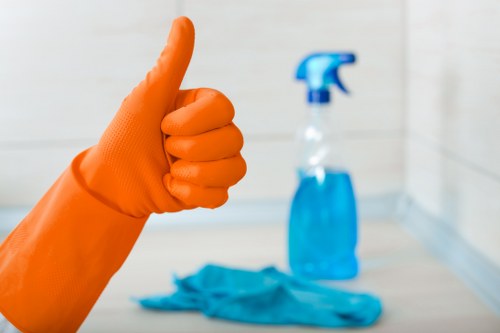 Cleaner inspecting carpet condition before treatment