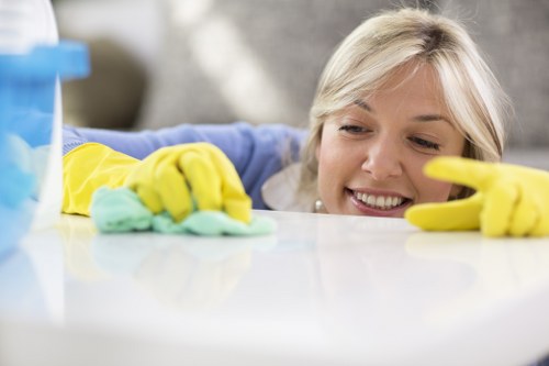 Clean mattress inspection in a White City bedroom
