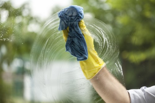 Clean carpet fibers after steam cleaning in White City
