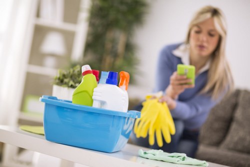 Upholstery stain treatment in White City